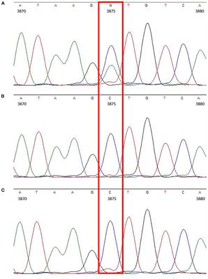 First Sequencing of Caprine Mdr1 (Abcb1) mRNA Due to Suspected Neurological Adverse Drug Reaction in a Thuringian Goat Following Extra-Label Use of Doramectin